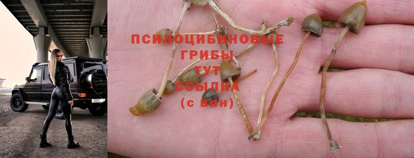 мяу мяу мука Кулебаки