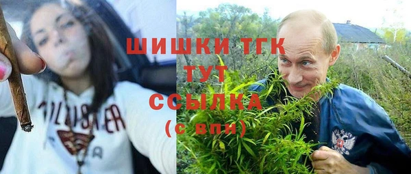стафф Куйбышев