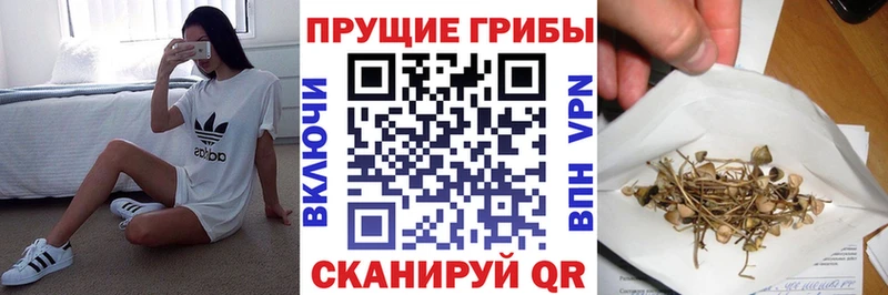 Галлюциногенные грибы GOLDEN TEACHER  Купить  Шадринск 